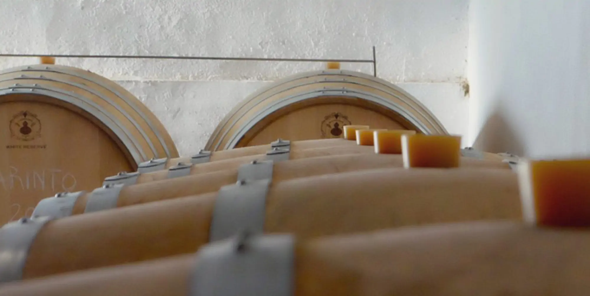<p>O Vinho</p>